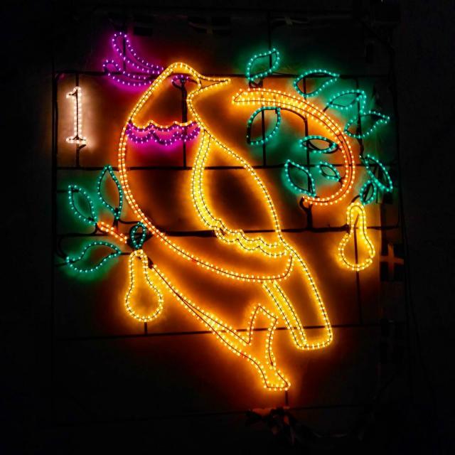 Georgia Slatter on Instagram: “And a partridge in a pear tree #12daysofchristmas #christmaslights #angarrack #cornwall #winterwonderland” Georgia Slatter on Instagram: “And a partridge in a pear tree #12daysofchristmas #christmaslights #angarrack #cornwall #winterwonderland”